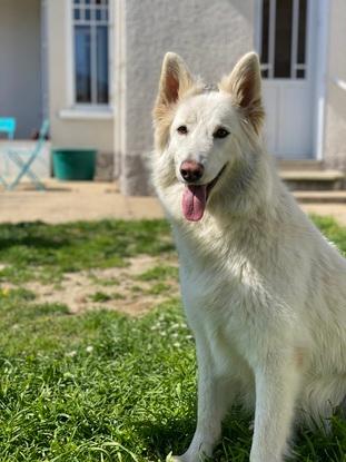 Olya, BBS, 4ans, FS