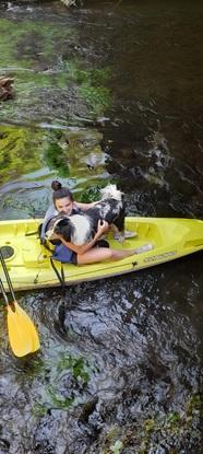 Sport canin
