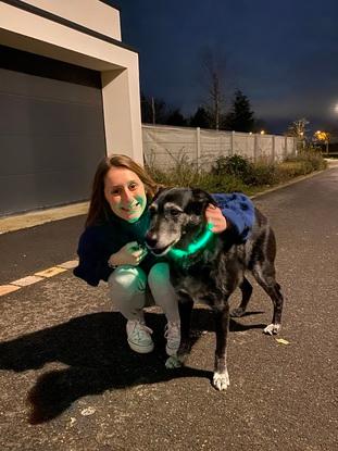 En balade avec mon chien