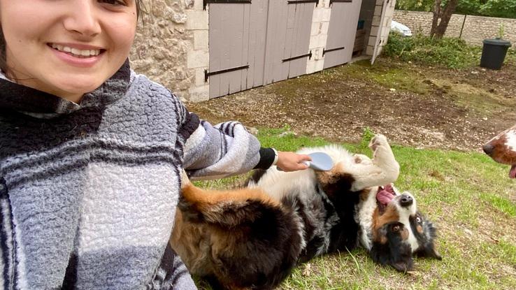 Toilettage heureux