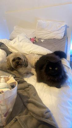 Gribouille & Nutella