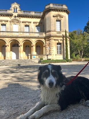 En balade avec Albertine