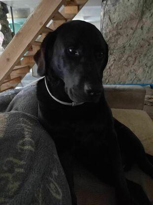 Mon bébé Juju