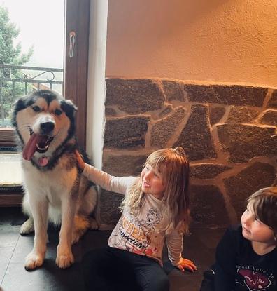 Un mercredi heureux en compagnie de Nuutak