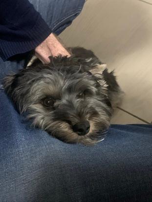 Sam