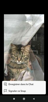 Voici Paulette