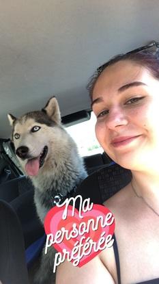 Mi husky