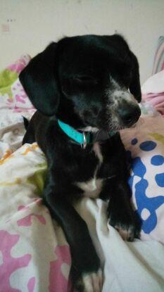 Belle 2ans