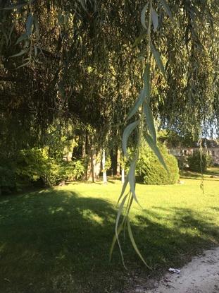 Un des parcs pré de chez moi