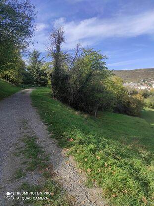 Le parc Montjuzet
