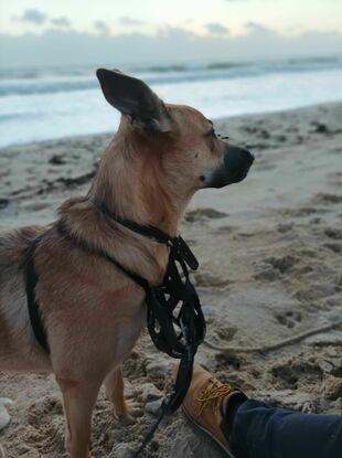 Balade en bord de mer