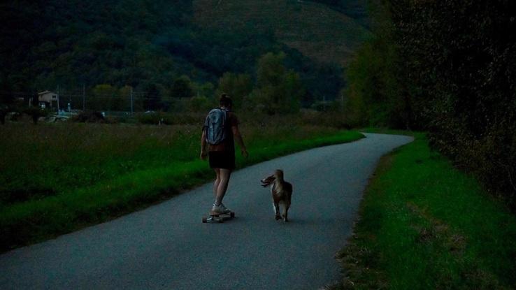 La via Rhône a quelques dizaines de mètres de la maison donne lieu à de magnifiques et longues promenades à toutes heures de la journée