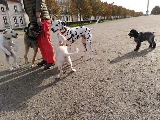 Un moment de rencontre avec Ava