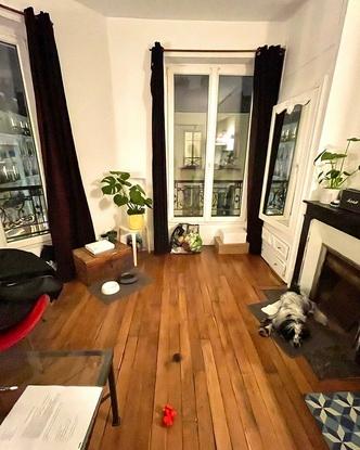 garde d'un petit cocker à mon appartement