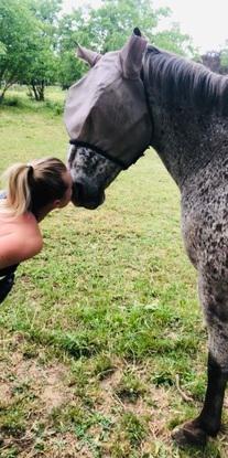 Mon ancien cheval : Kalao