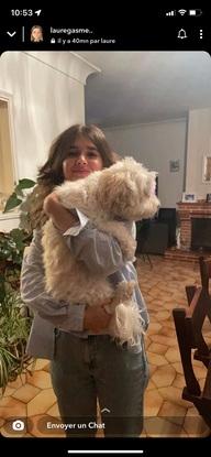 Moi et le chien d’un ami