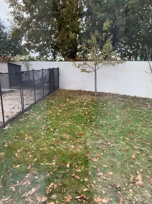 Le jardin à l’arrière de mon domicile