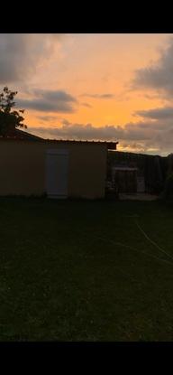 Une autre partie du jardin a l’arrière de mon domicile
