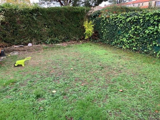 Le jardin à l’avant de mon domicile