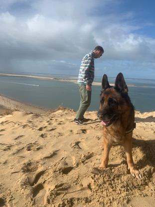 Nous gardons souvent le chien de mes beaux parents
