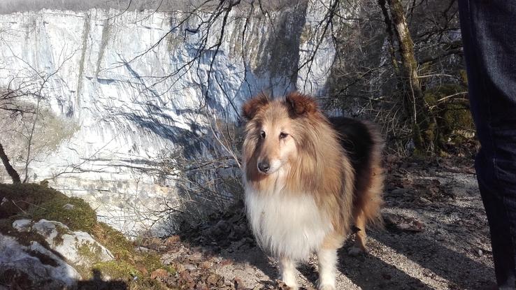 promenade avec mon chien (décédée en 2018)