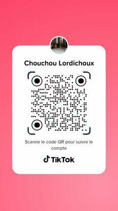 Decouvrer mes aventures sur Tiktok