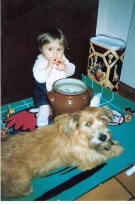 Le chien de mes grands parents et moi petit