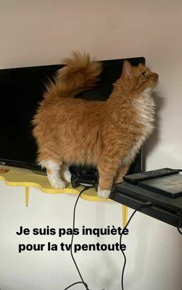 à
