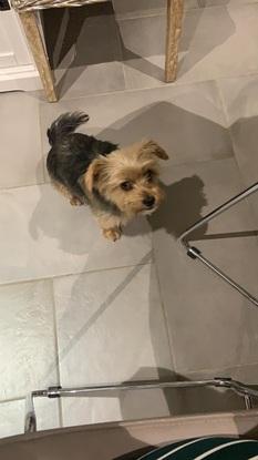 Nono qui veut à manger