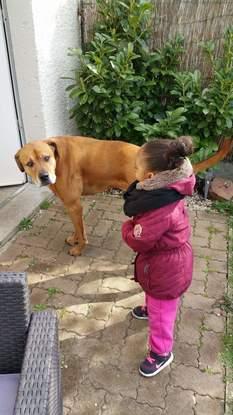 MARLON 3ème année de garde déjà 2015
