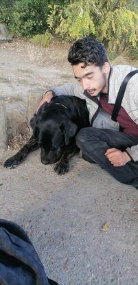 Moi et un chien
