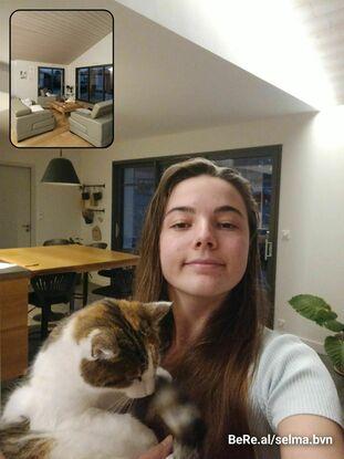 Mon chat