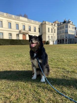Aoko est ici pour 4 jours ! On fait de superbes balades
