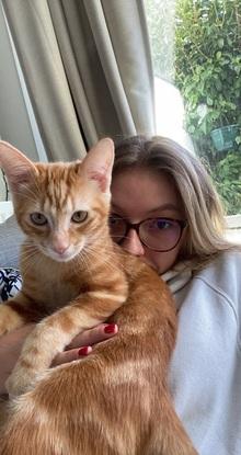 Chipper mon chat