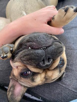 Voici Prada !