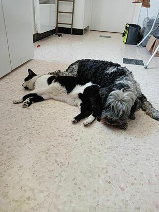 Petite sieste