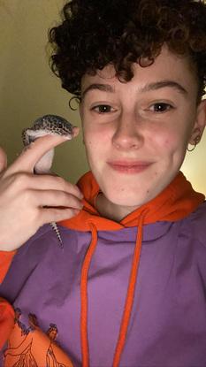voici mon petit gecko !