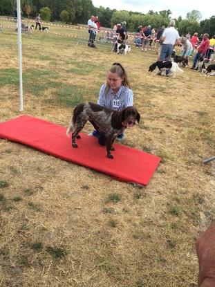 Concours canin 2019