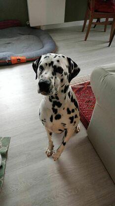 Lully ❤️ client régulier depuis 1an et demi, après déménagement !