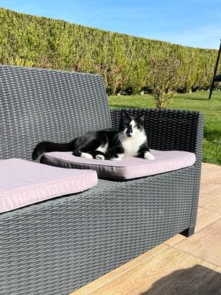 Petit bain de soleil