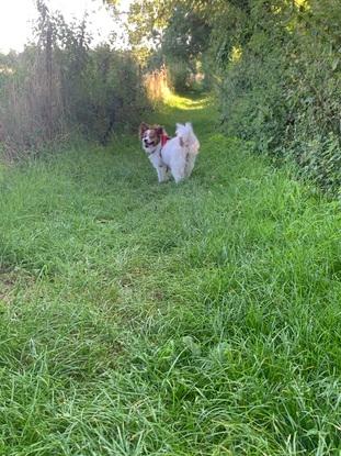 Petite promenade