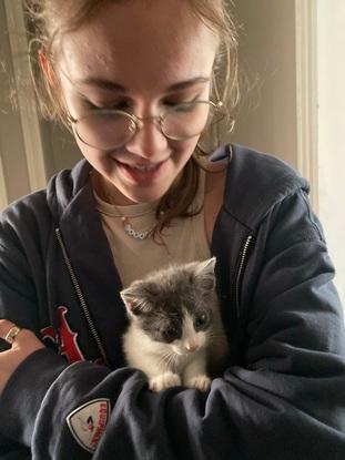 Voici Vulcano, un chat dont j’ai l’habitude de m’occuper!