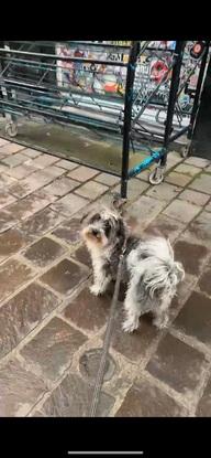 Même les plus petits