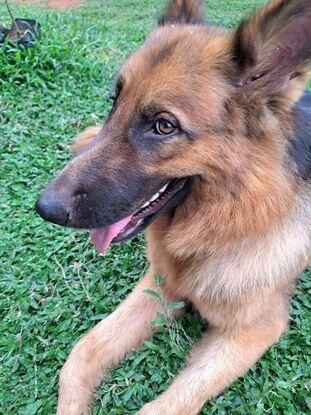 My bella