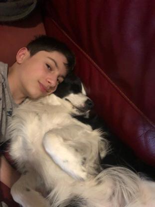 Chien malheureux…