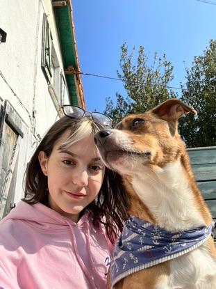 Mon chien 