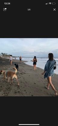 Promenade sur la plage