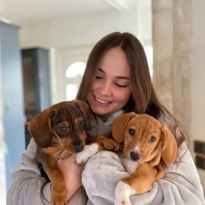 Mes chiots et moi