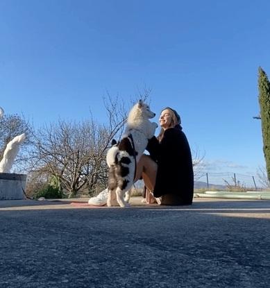 Les chiens que j’ai rencontré et que j’ai chouchouté 1 jour