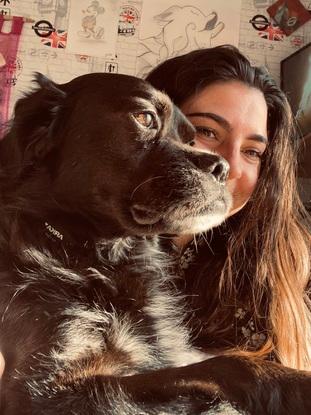 Séances câlins avec mon chien boxer groendal âgé de 12 ans